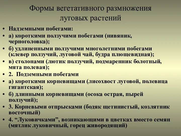 Формы вегетативного размножения луговых растений Надземными побегами: а) короткими ползучими побегами