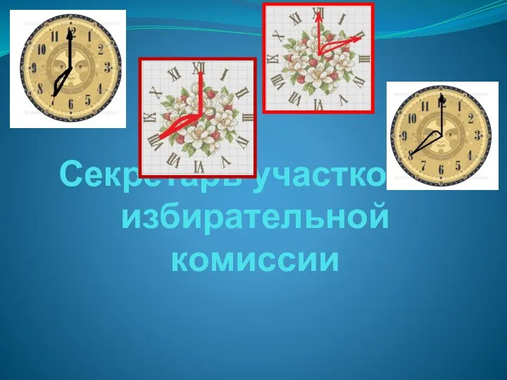 Секретарь участковой избирательной комиссии