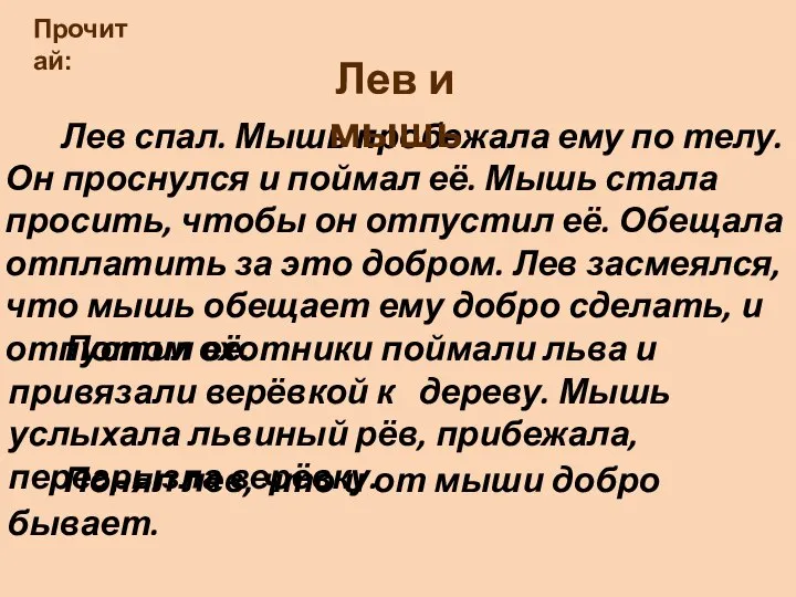 Лев спал. Мышь пробежала ему по телу. Он проснулся и поймал