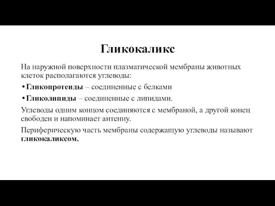 Гликокаликс На наружной поверхности плазматической мембраны животных клеток располагаются углеводы: Гликопротеиды