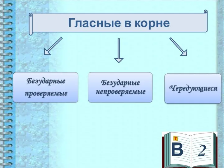 В 2 Гласные в корне