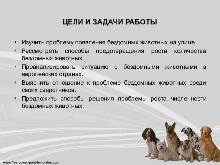 ЦЕЛИ И ЗАДАЧИ РАБОТЫ Изучить проблему появления бездомных животных на улице.