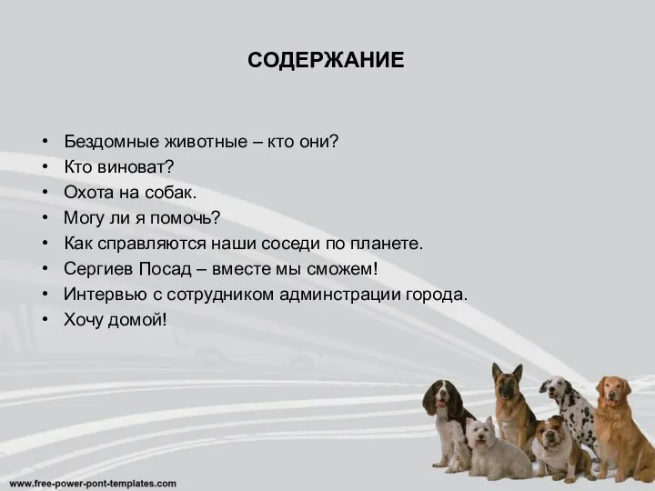 СОДЕРЖАНИЕ Бездомные животные – кто они? Кто виноват? Охота на собак.