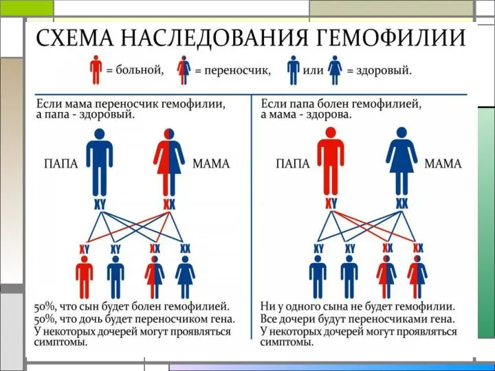 Этим методом выявлены: вредные последствия близкородственных браков, (проявляются при гомозиготности по