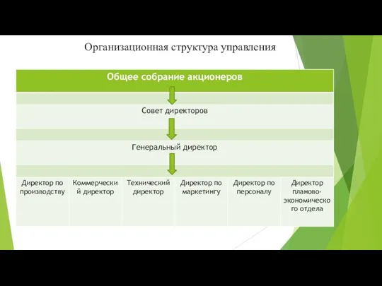 Организационная структура управления