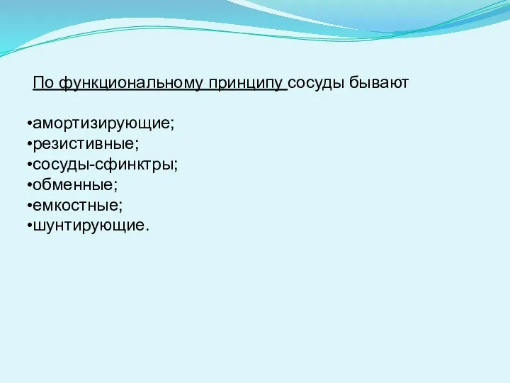 По функциональному принципу сосуды бывают амортизирующие; резистивные; сосуды-сфинктры; обменные; емкостные; шунтирующие.