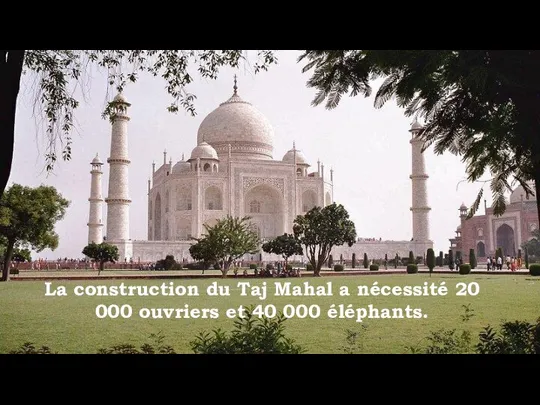 La construction du Taj Mahal a nécessité 20 000 ouvriers et 40 000 éléphants.