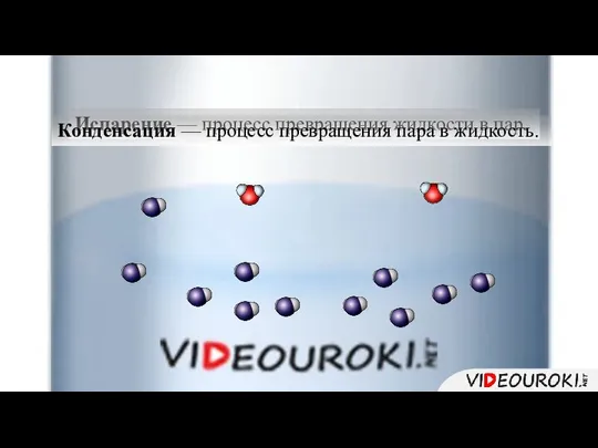 Испарение — процесс превращения жидкости в пар. Конденсация — процесс превращения пара в жидкость.