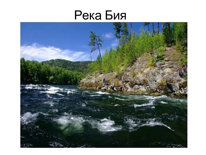 Река Бия