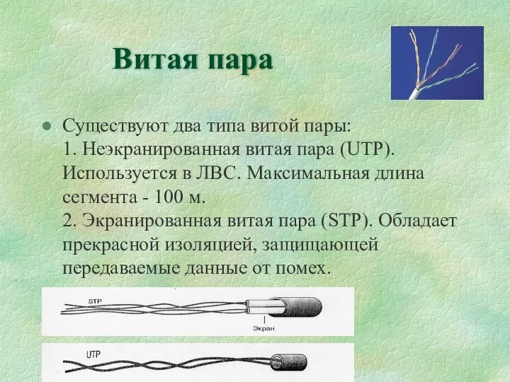 Витая пара Существуют два типа витой пары: 1. Неэкранированная витая пара