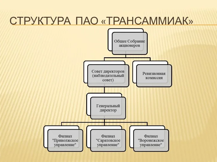 СТРУКТУРА ПАО «ТРАНСАММИАК»