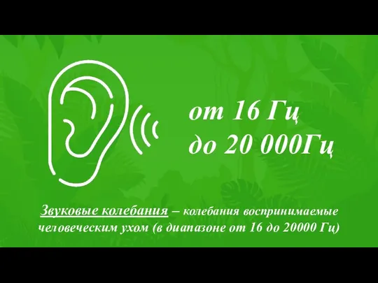 Звуковые колебания – колебания воспринимаемые человеческим ухом (в диапазоне от 16