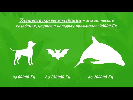 Ультразвуковые колебания – механические колебания, частота которых превышает 20000 Гц до