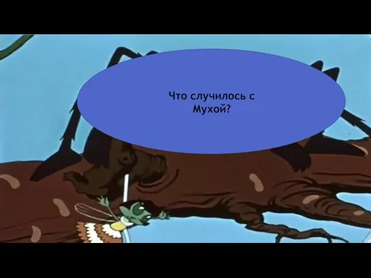 Что случилось с Мухой?