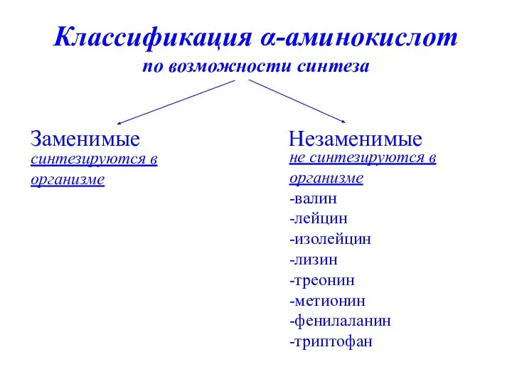 Классификация α-аминокислот по возможности синтеза Заменимые Незаменимые синтезируются в организме не