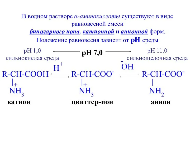 цвиттер-ион анион катион В водном растворе α-аминокислоты существуют в виде равновесной