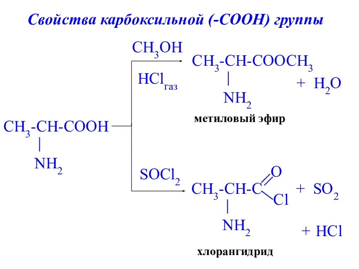 метиловый эфир + H2O HClгаз хлорангидрид + CH3OH SOCl2 SO2 + HCl Свойства карбоксильной (-СООН) группы