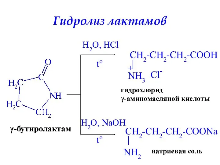 Гидролиз лактамов γ-бутиролактам H2O, HCl to гидрохлорид γ-аминомасляной кислоты H2O, NaOH to натриевая соль