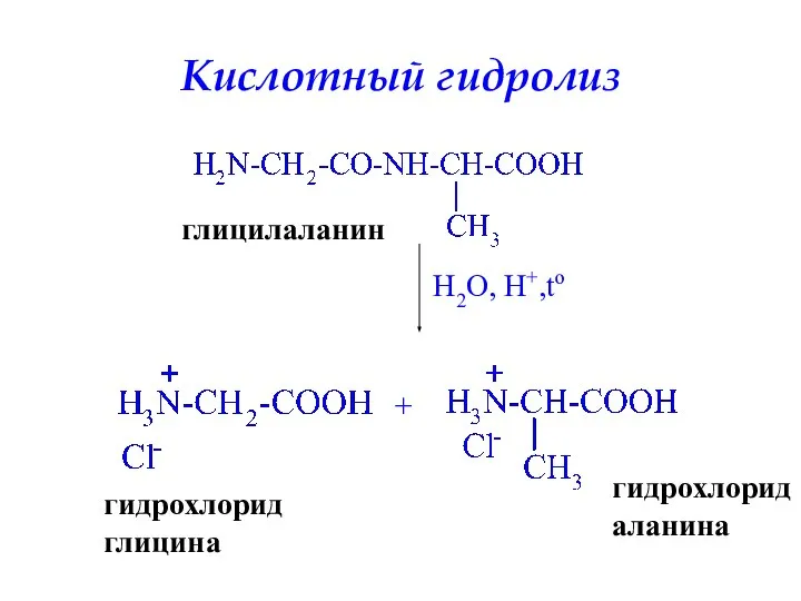 Кислотный гидролиз глицилаланин H2O, H+,to + гидрохлорид глицина гидрохлорид аланина