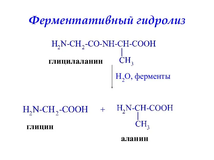 Ферментативный гидролиз глицилаланин H2O, ферменты + глицин аланин