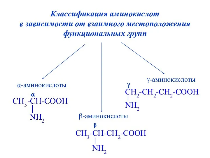 Классификация аминокислот в зависимости от взаимного местоположения функциональных групп α-аминокислоты γ-аминокислоты