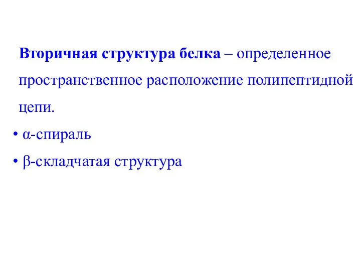 Вторичная структура белка – определенное пространственное расположение полипептидной цепи. α-спираль β-складчатая структура