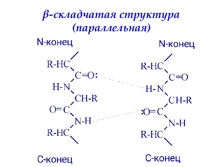 β-складчатая структура (параллельная)