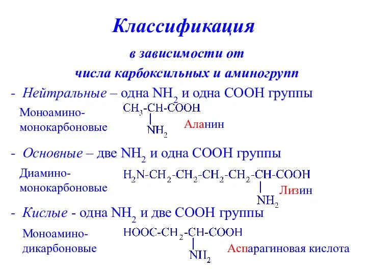 Классификация в зависимости от числа карбоксильных и аминогрупп - Нейтральные –