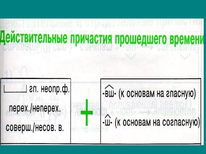 Действительные причастия прошедшего времени