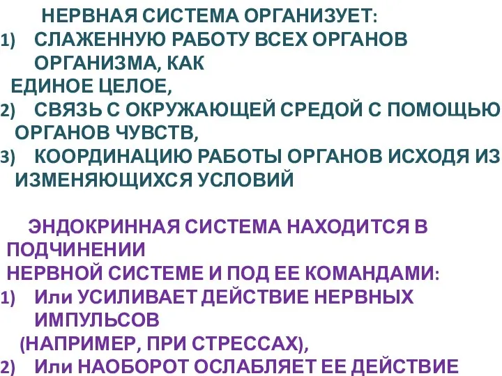 НЕРВНАЯ СИСТЕМА ОРГАНИЗУЕТ: СЛАЖЕННУЮ РАБОТУ ВСЕХ ОРГАНОВ ОРГАНИЗМА, КАК ЕДИНОЕ ЦЕЛОЕ,