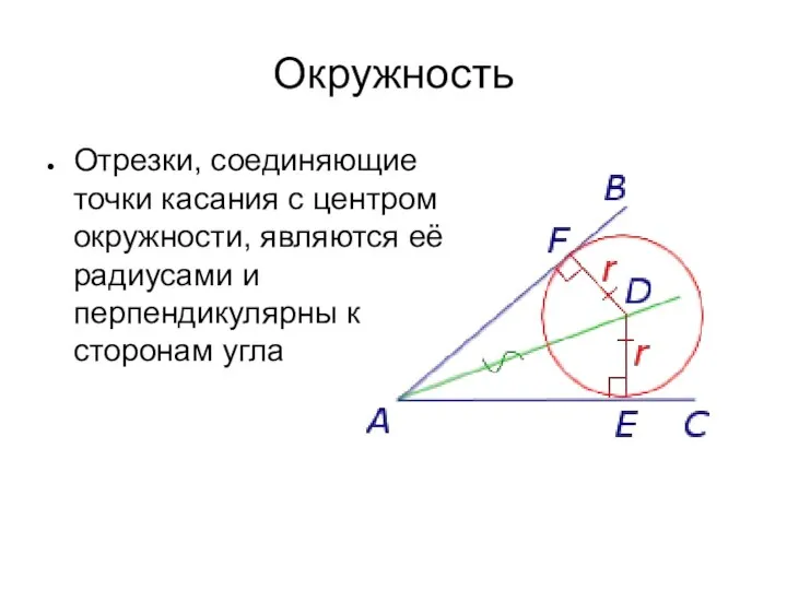 Окружность Отрезки, соединяющие точки касания с центром окружности, являются её радиусами и перпендикулярны к сторонам угла