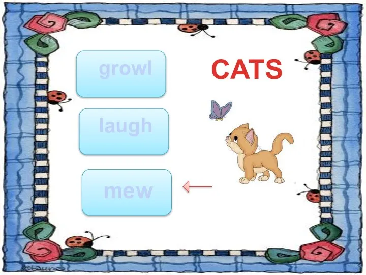 growl laugh mew CATS