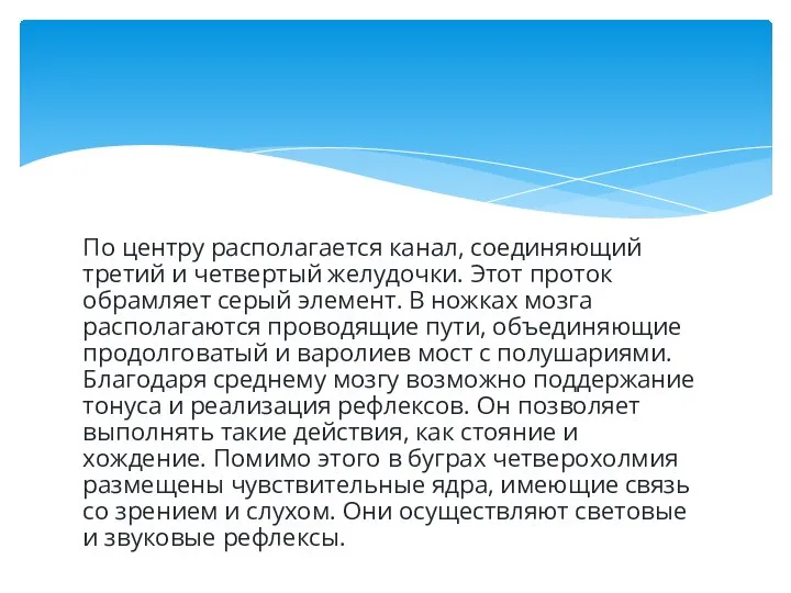 По центру располагается канал, соединяющий третий и четвертый желудочки. Этот проток