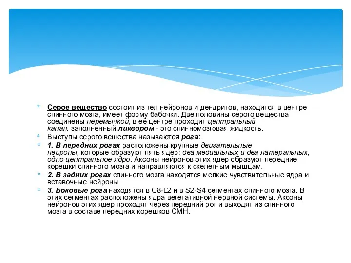 Серое вещество состоит из тел нейронов и дендритов, находится в центре