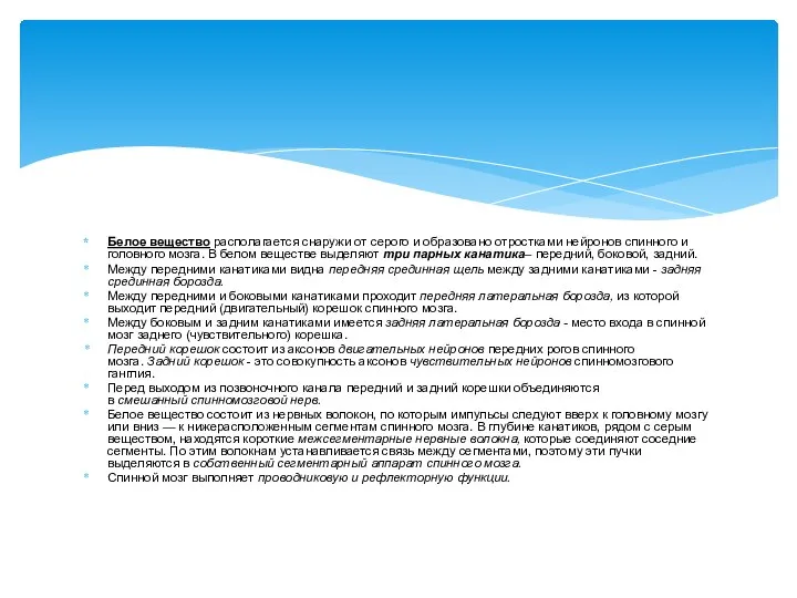 Белое вещество располагается снаружи от серого и обра­зовано отростками нейронов спинного