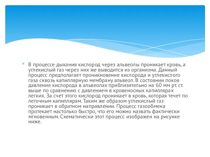 В процессе дыхания кислород через альвеолы проникает кровь, а углекислый газ