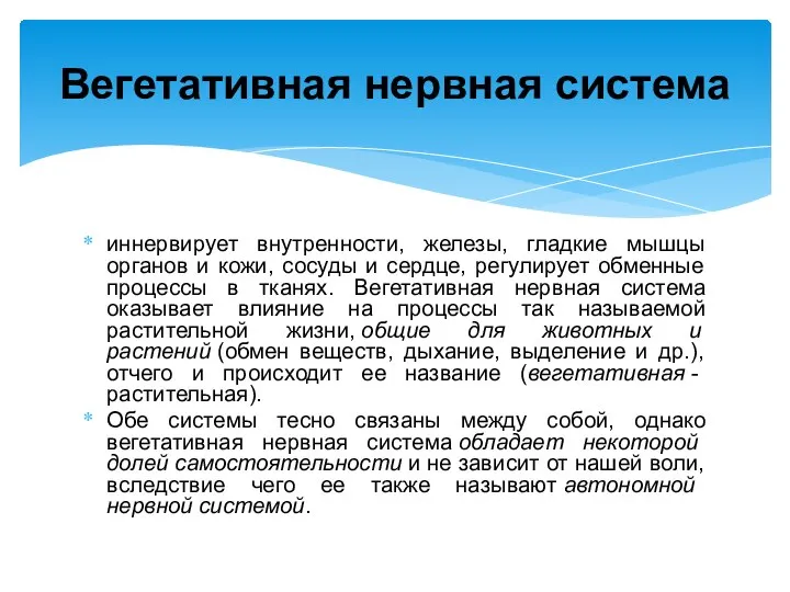 иннервирует внутренности, железы, гладкие мышцы органов и кожи, сосуды и сердце,