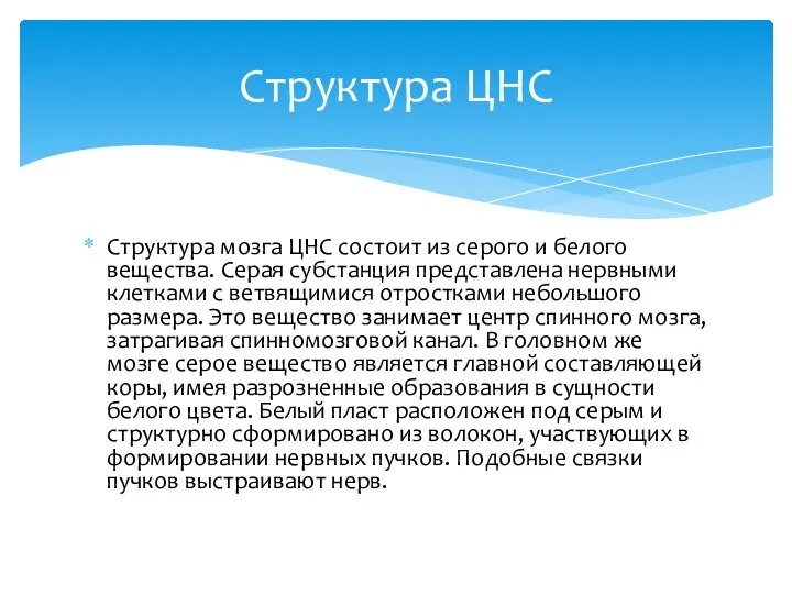 Структура мозга ЦНС состоит из серого и белого вещества. Серая субстанция