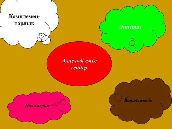 Аллельді емес гендер Эпистаз Комплемен-тарлық Полимерия Көпаллельдік