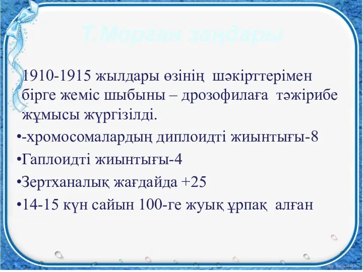 Т.Морган заңдары 1910-1915 жылдары өзінің шәкірттерімен бірге жеміс шыбыны – дрозофилаға