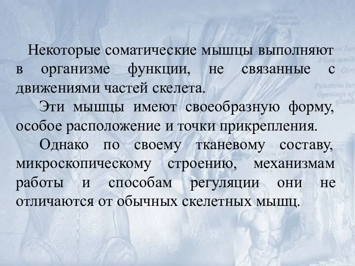 Некоторые соматические мышцы выполняют в организме функции, не связанные с движениями