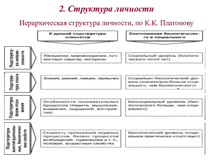 2. Структура личности Иерархическая структура личности, по К.К. Платонову