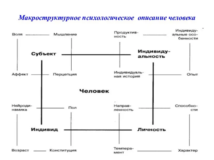 Макроструктурное психологическое описание человека