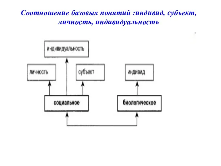 Соотношение базовых понятий :индивид, субъект, личность, индивидуальность