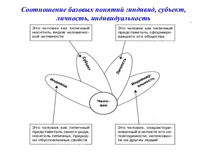 Соотношение базовых понятий :индивид, субъект, личность, индивидуальность