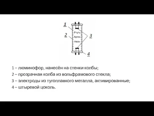 1 – люминофор, нанесён на стенки колбы; 2 – прозрачная колба