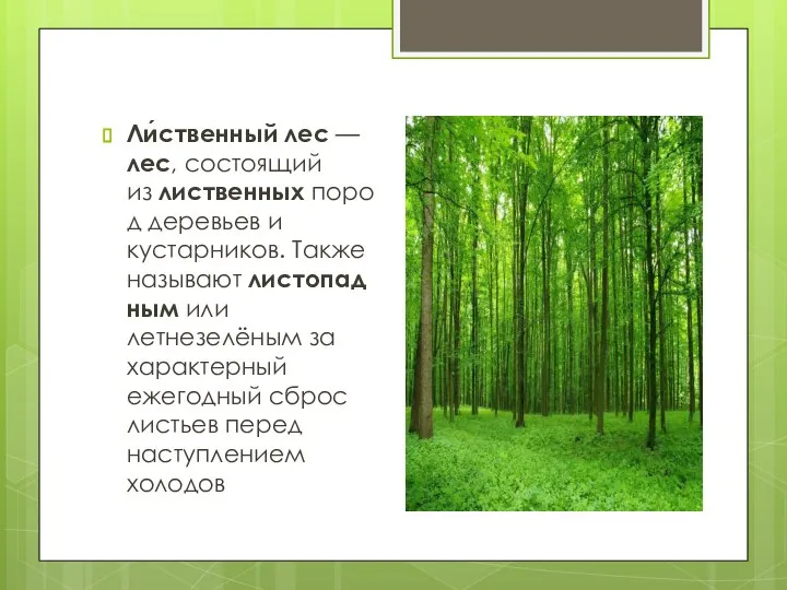 Ли́ственный лес — лес, состоящий из лиственных пород деревьев и кустарников.