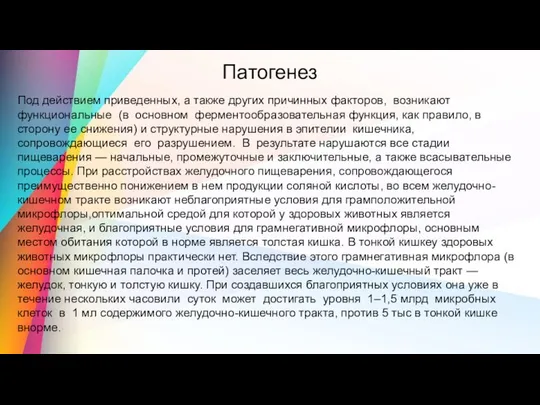 Патогенез Под действием приведенных, а также других причинных факторов, возникают функциональные