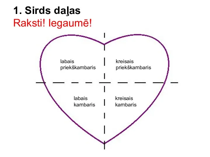 labais priekškambaris kreisais kambaris labais kambaris kreisais priekškambaris 1. Sirds daļas Raksti! Iegaumē!