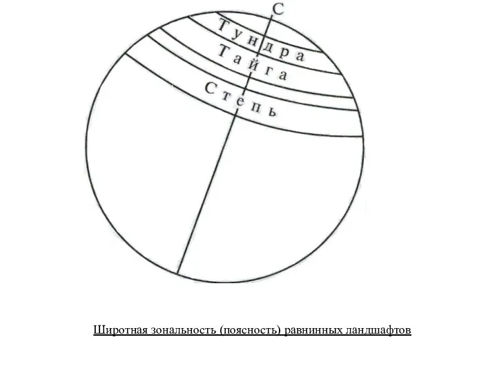 Широтная зональность (поясность) равнинных ландшафтов